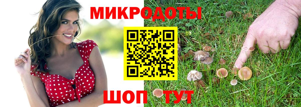 Галлюциногенные грибы прущие грибы  Вход с VPN  Псилоцибиновые грибы MAGIC MUSHROOMS  Острогожск 